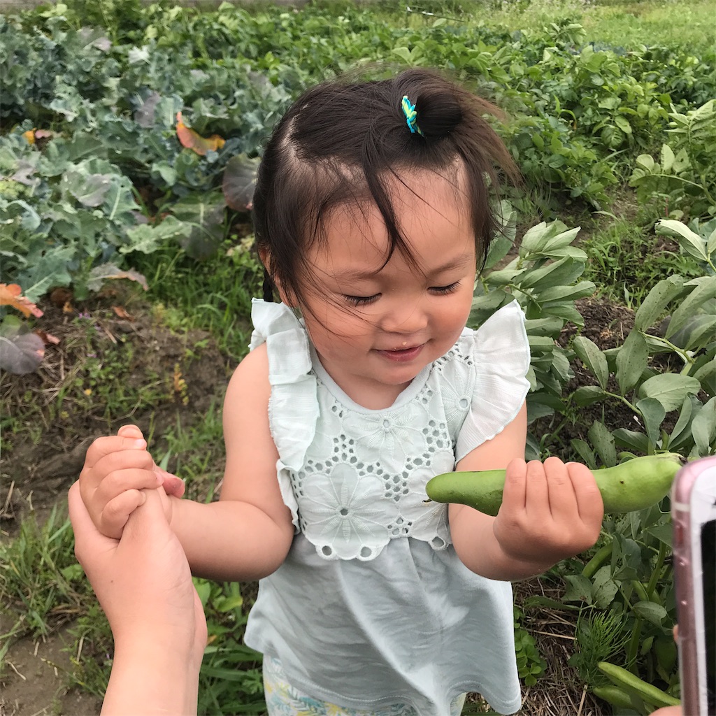 f:id:shunrina:20190719102117j:image