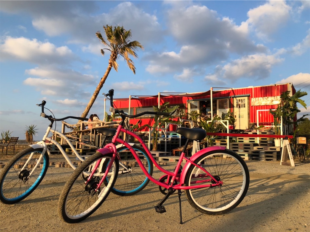 f:id:shunrina:20201209193244j:image