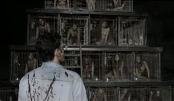 f:id:shunsasahara:20200807182040j:simples f:id:shunsasahara:20200807182040j:simples