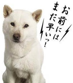 f:id:shunsuke97:20180608231827j:plain f:id:shunsuke97:20180608231827j:plain