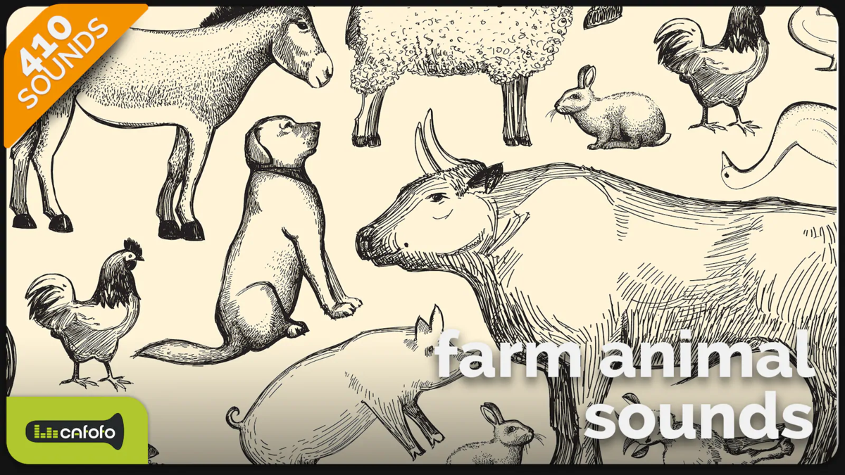 f:id:shuntaendo:20210408114018p:plain:w500