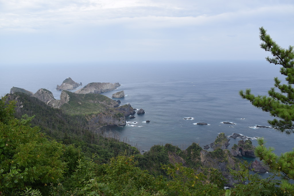 f:id:shuntaro9524:20180827154529j:plain f:id:shuntaro9524:20180827154529j:plain