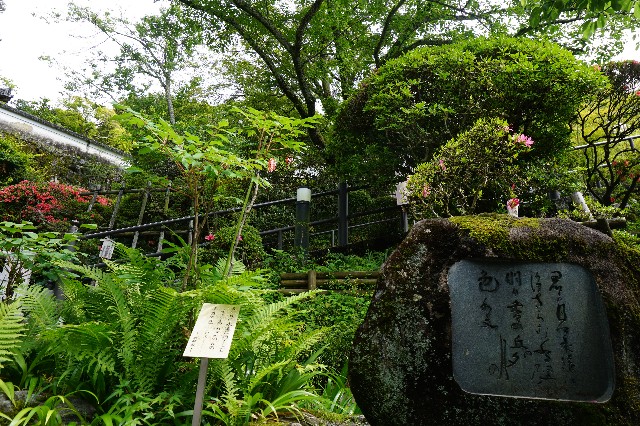 f:id:shuntarokun:20190606160134j:image f:id:shuntarokun:20190606160134j:image