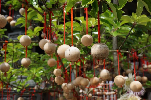 f:id:shuntarokun:20190606160524j:image f:id:shuntarokun:20190606160524j:image