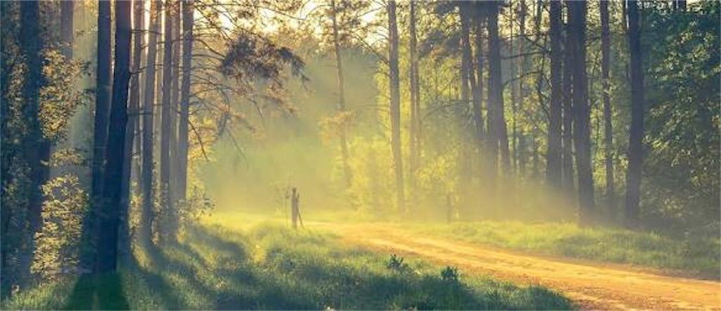 f:id:shunya7011:20180801203612j:image