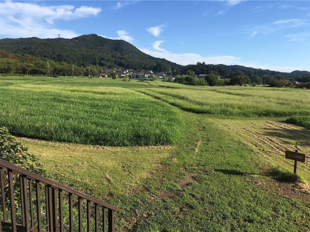 f:id:shunya7011:20180826232604j:image