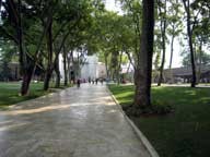f:id:shuratok:20090923000133j:image:right f:id:shuratok:20090923000133j:image:right