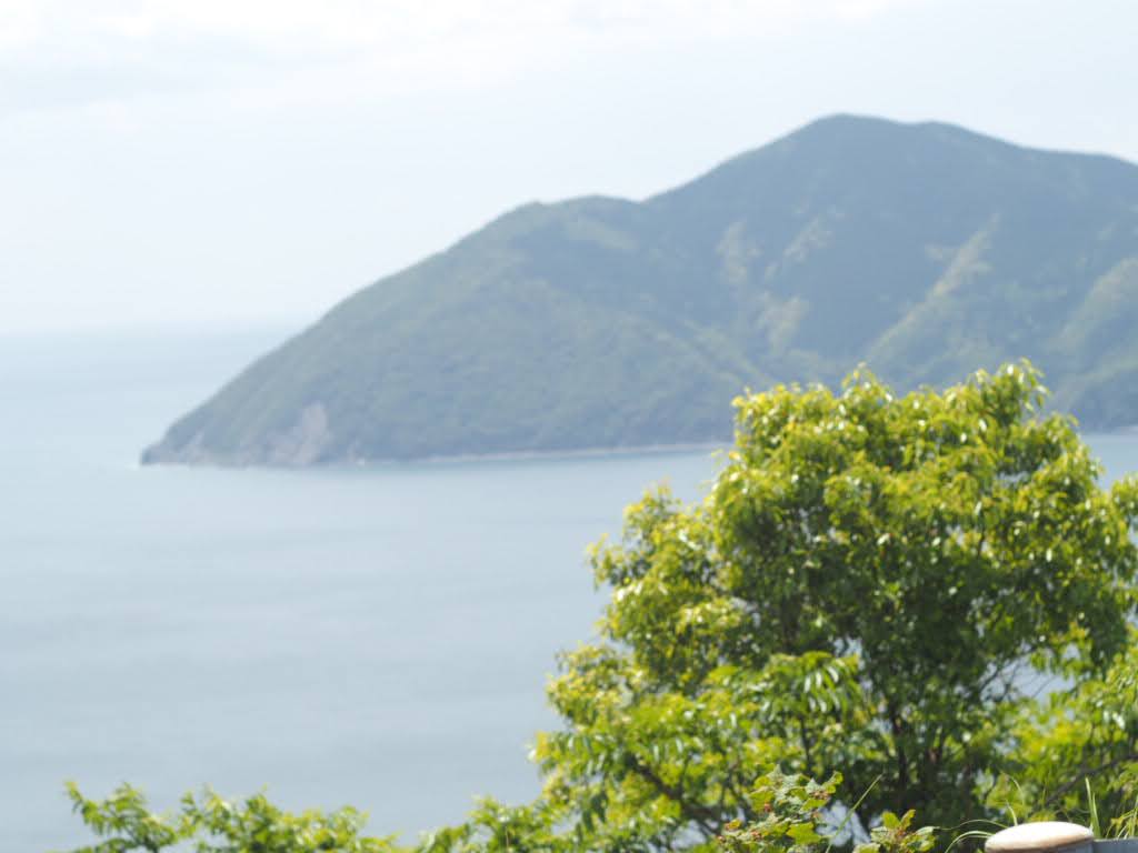 f:id:shuriritan:20210513095707j:plain