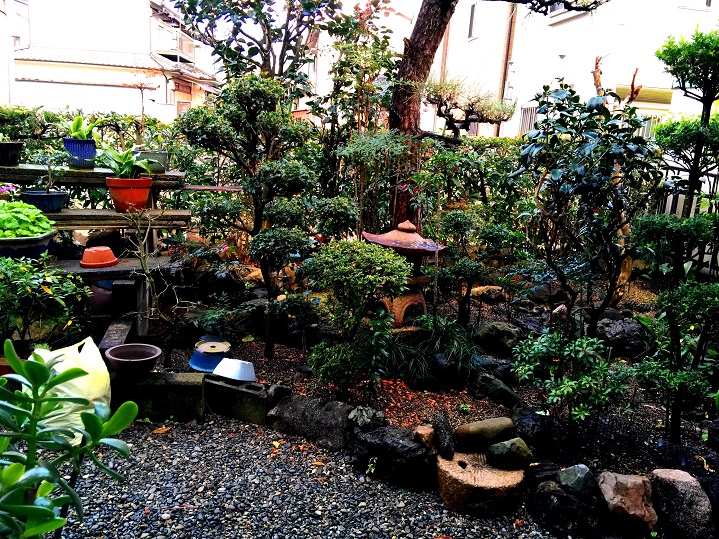 f:id:shusaku1:20170122154619j:image