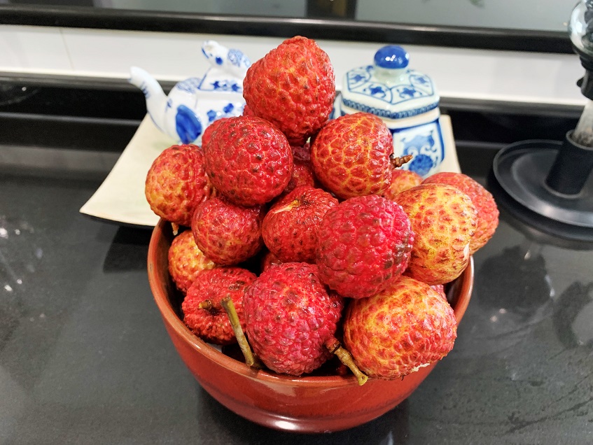 f:id:shusaku1:20190710235826j:plain