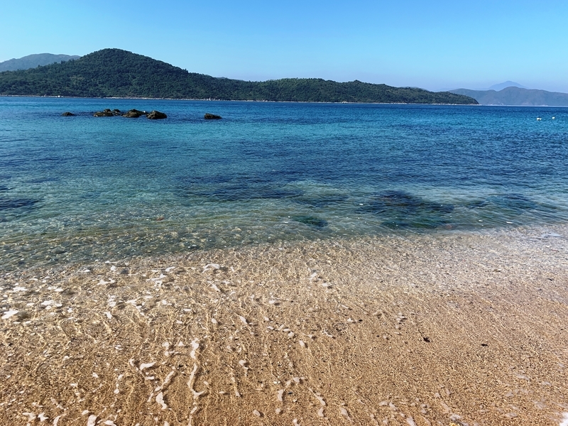 f:id:shusaku1:20201229230101j:plain