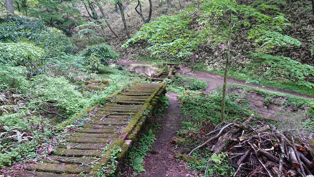 葛城山のラピュタのような道