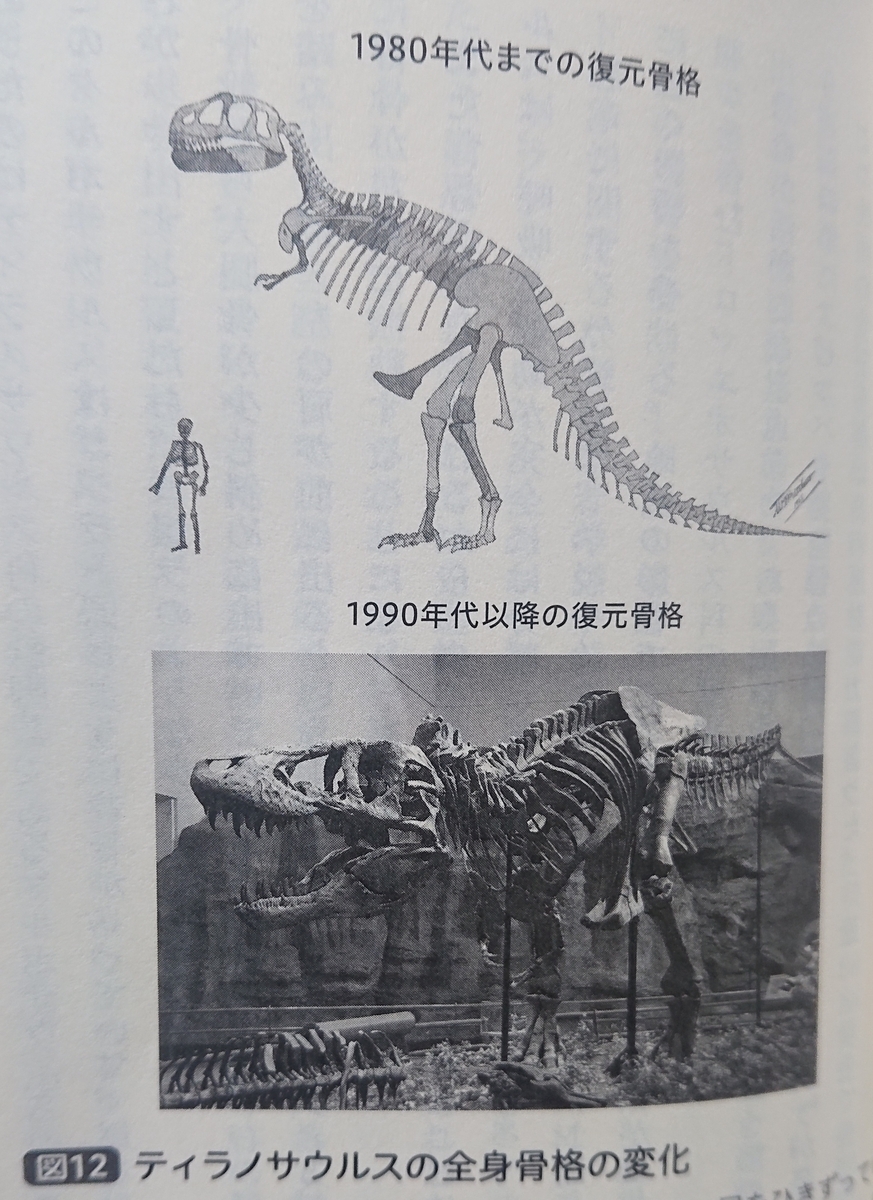 ティラノサウルスの全身骨格の変化