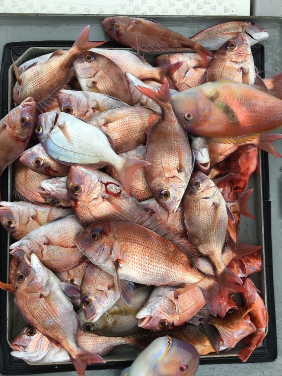 9月23日 天草沖 タイラバ釣行 ～鯛シーズン突入～ - 長崎 釣り日記