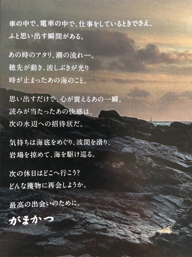 f:id:shut7777:20210119123102j:image