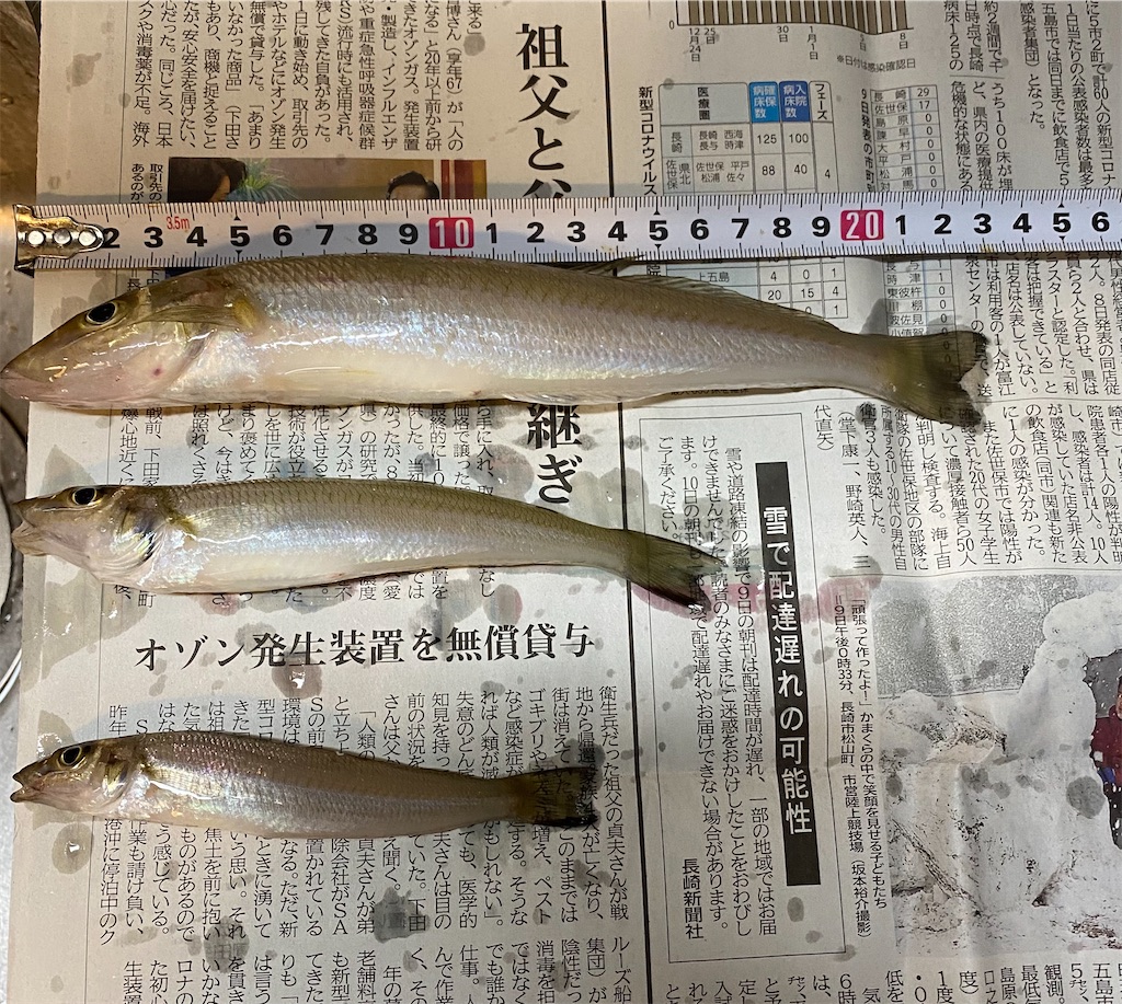 9月20日 茂木近郊 三度キス釣り 長崎 釣り日記 しゅうのブログ 9月20日 茂木近郊 三度キス釣り 長崎 釣り日記 しゅうのブログ