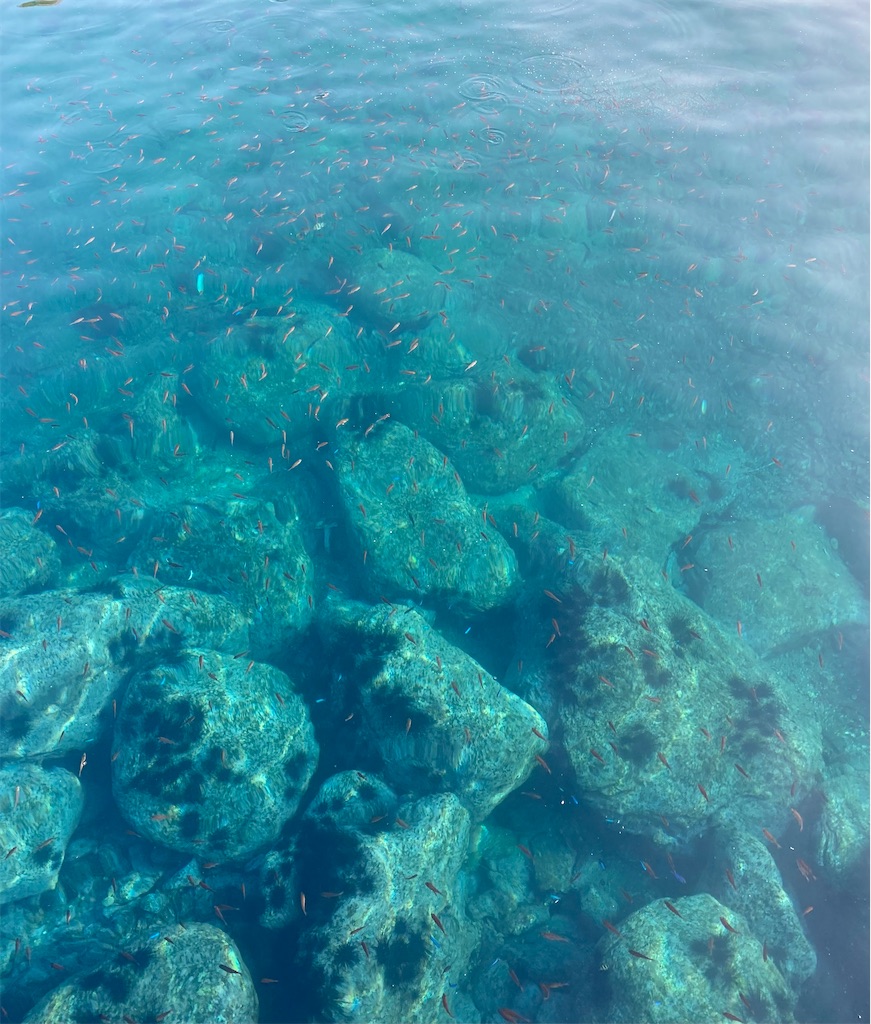 f:id:shut7777:20220118125341j:image