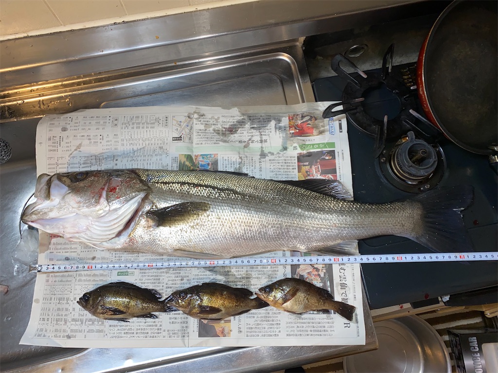 f:id:shut7777:20220302142513j:image f:id:shut7777:20220302142513j:image