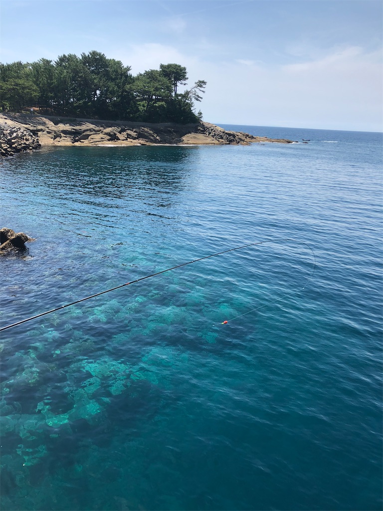 f:id:shut7777:20220302145938j:image f:id:shut7777:20220302145938j:image