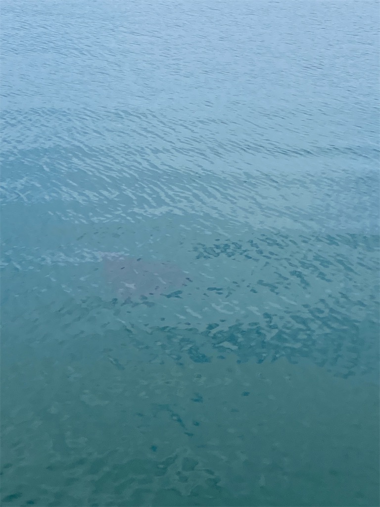 f:id:shut7777:20241016204751j:image