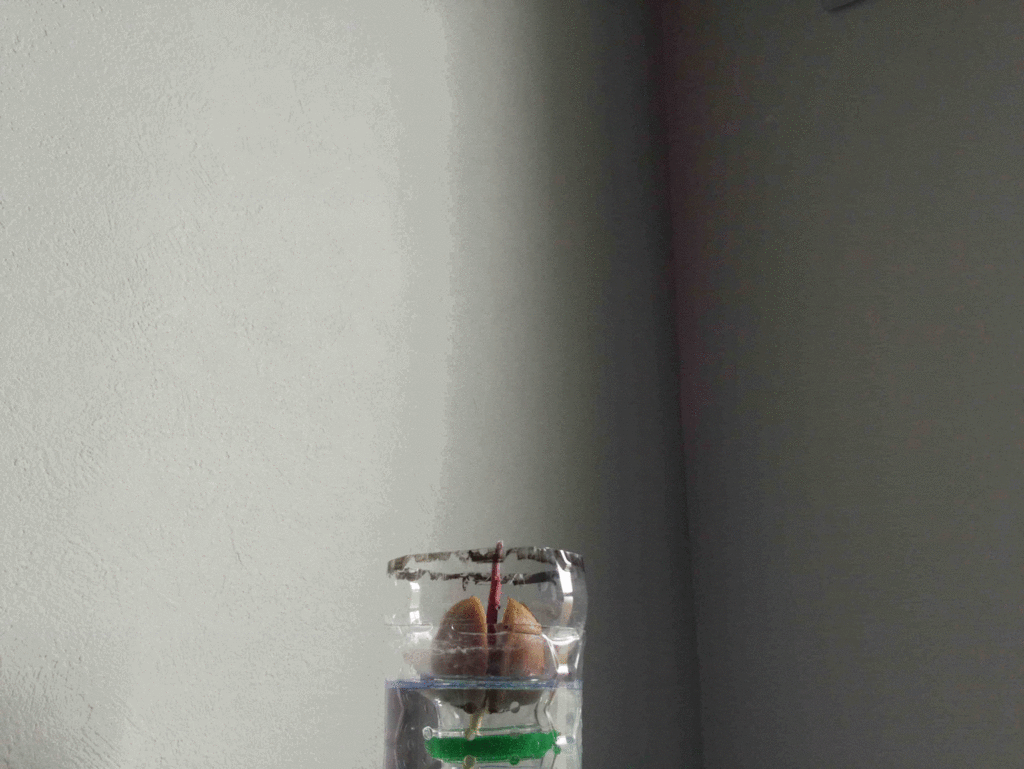f:id:shut9:20180825224156g:plain f:id:shut9:20180825224156g:plain