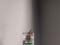 /home/pi/log_condition/log_pic/2018082712.png