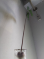 /home/pi/log_condition/log_pic/2019010312.png