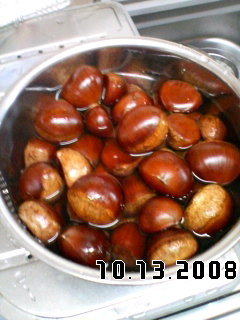 f:id:shutaro:20081013133811j:image