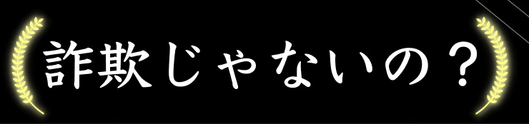 f:id:shutogole:20190217161419j:plain f:id:shutogole:20190217161419j:plain