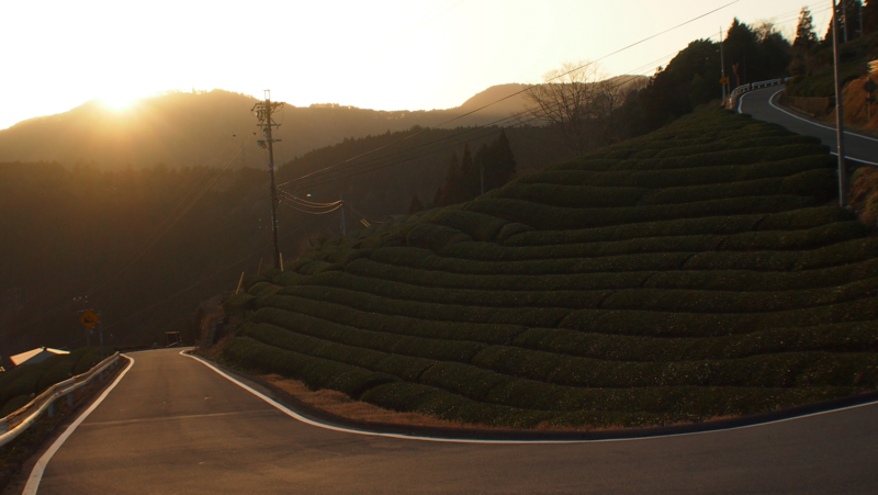 f:id:shuu_around_japan:20130309171928j:image:w640:left f:id:shuu_around_japan:20130309171928j:image:w640:left