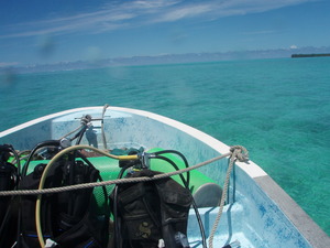 f:id:shuuppa:20070604105110j:image:left f:id:shuuppa:20070604105110j:image:left