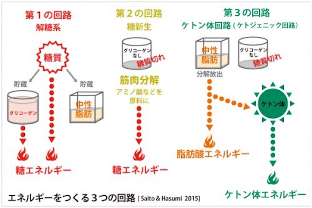 f:id:shuuuto:20200217000906j:image f:id:shuuuto:20200217000906j:image