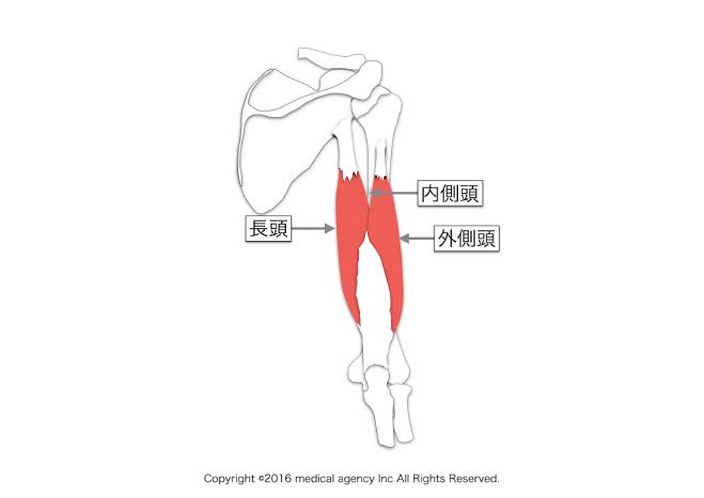 f:id:shuuuto:20200220173615j:image f:id:shuuuto:20200220173615j:image