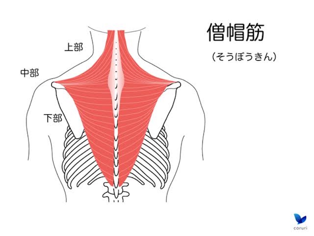 f:id:shuuuto:20200220230954j:image f:id:shuuuto:20200220230954j:image