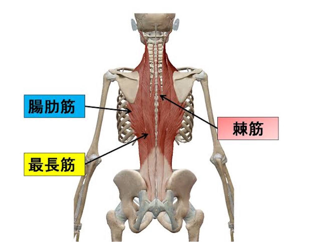 f:id:shuuuto:20200220231335j:image f:id:shuuuto:20200220231335j:image