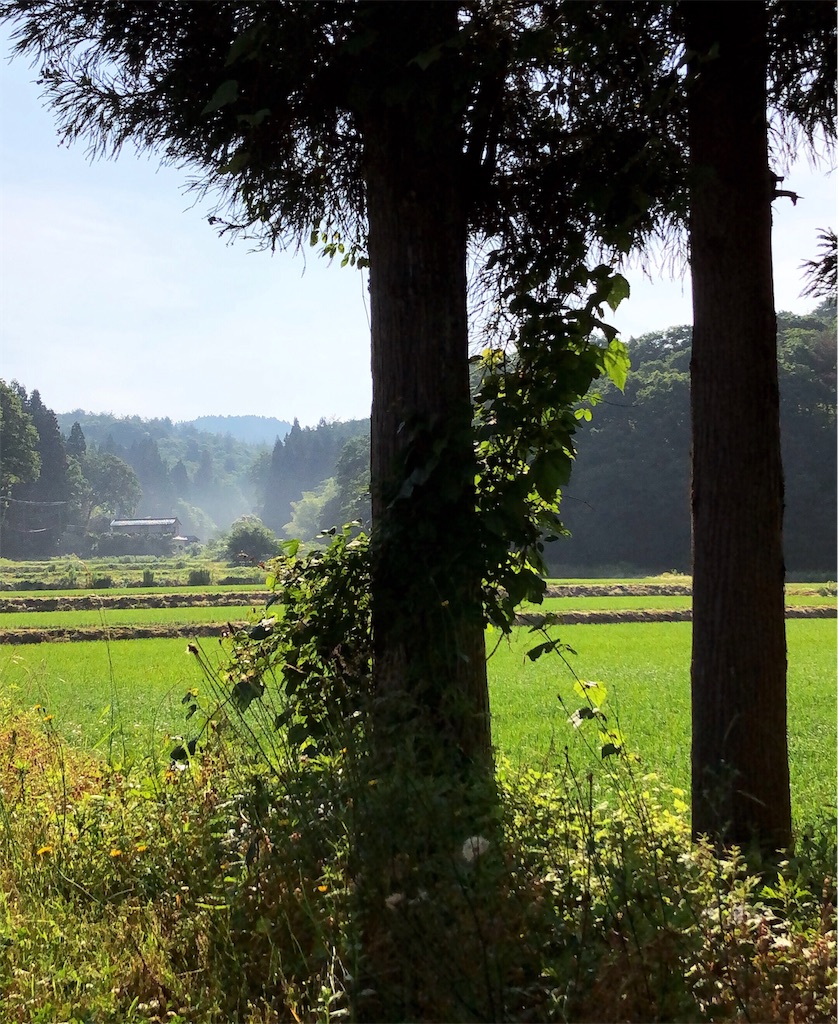 f:id:shuya_31:20190705153203j:image