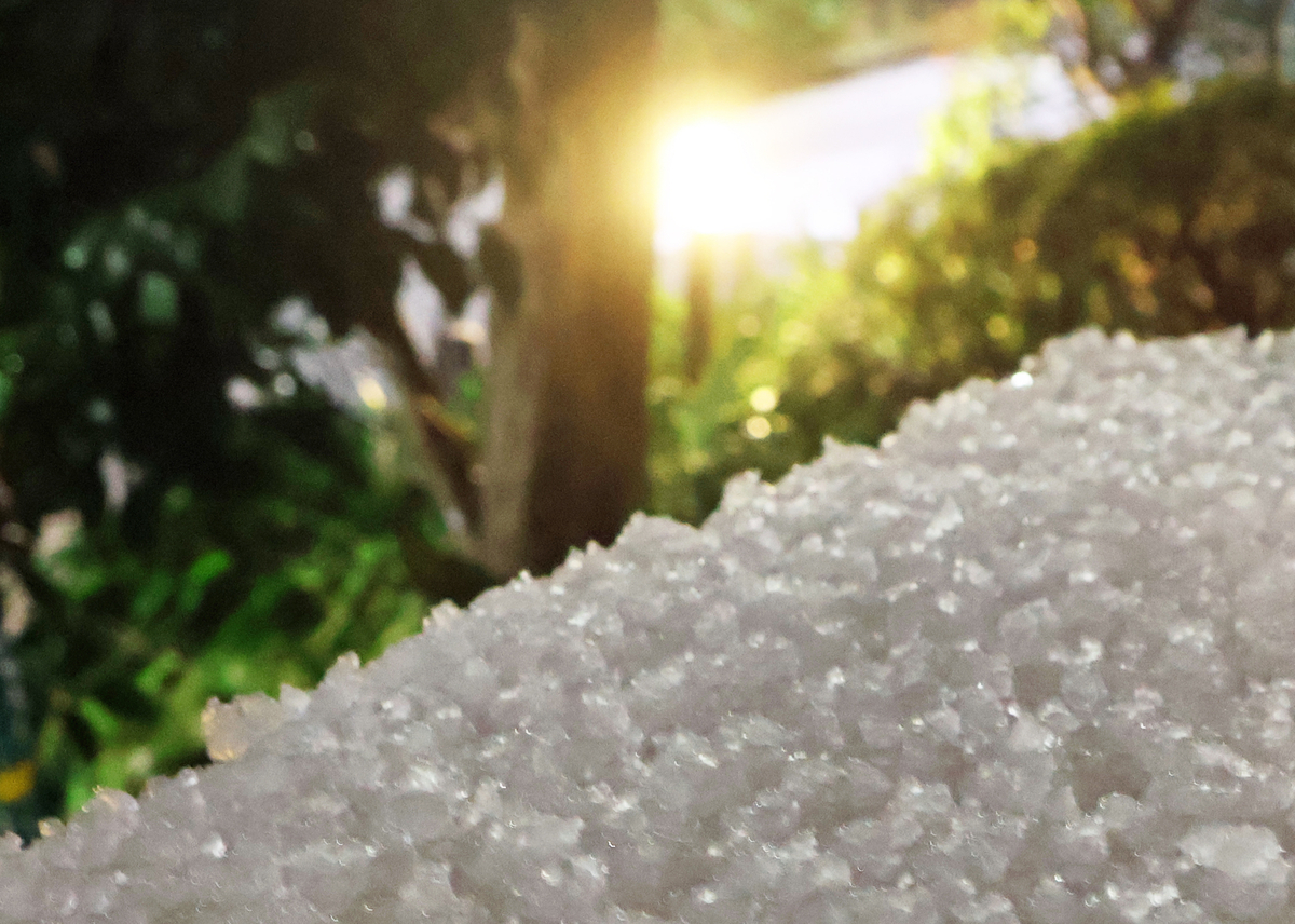 霰・雪・雷のち雨 - Fsの独り言・つぶやき
