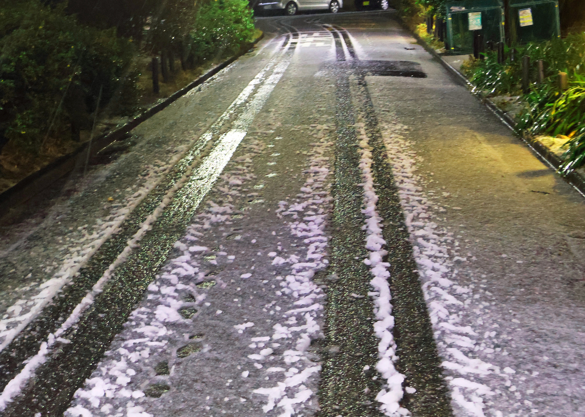 霰・雪・雷のち雨 - Fsの独り言・つぶやき