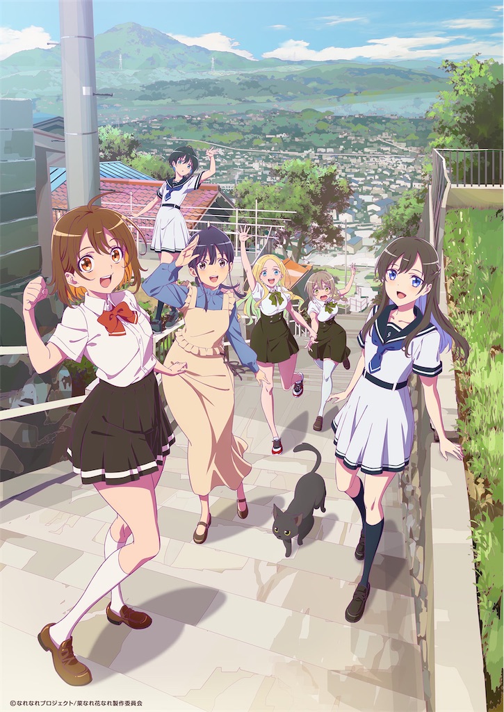 f:id:shyuya86:20240624110520j:image
