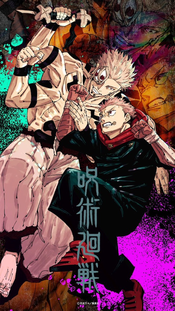 呪術廻戦 宿儺 虎杖悠仁