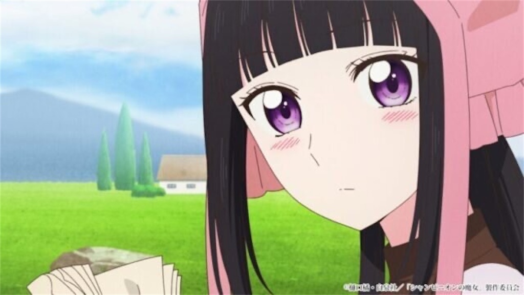 f:id:shyuya86:20250602160818j:image