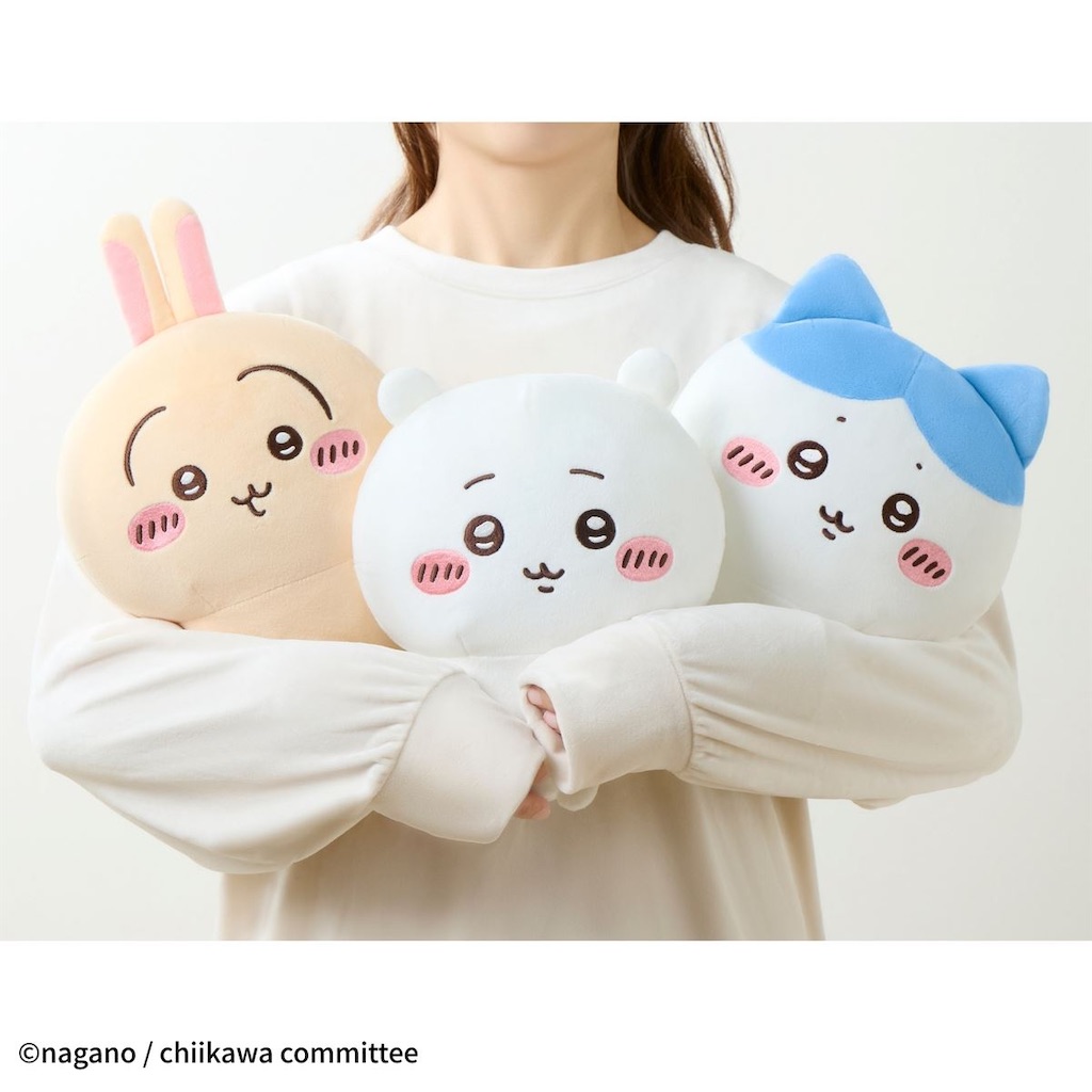 f:id:shyuya86:20251207113204j:image