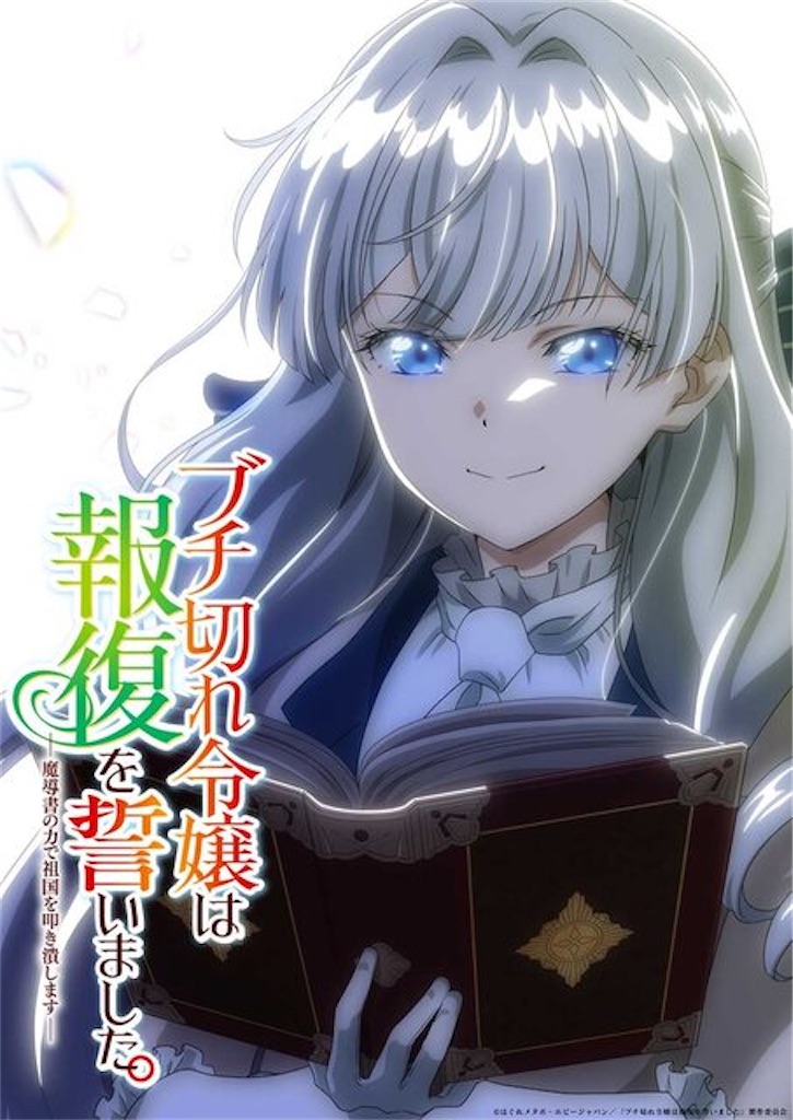 f:id:shyuya86:20251227085517j:image