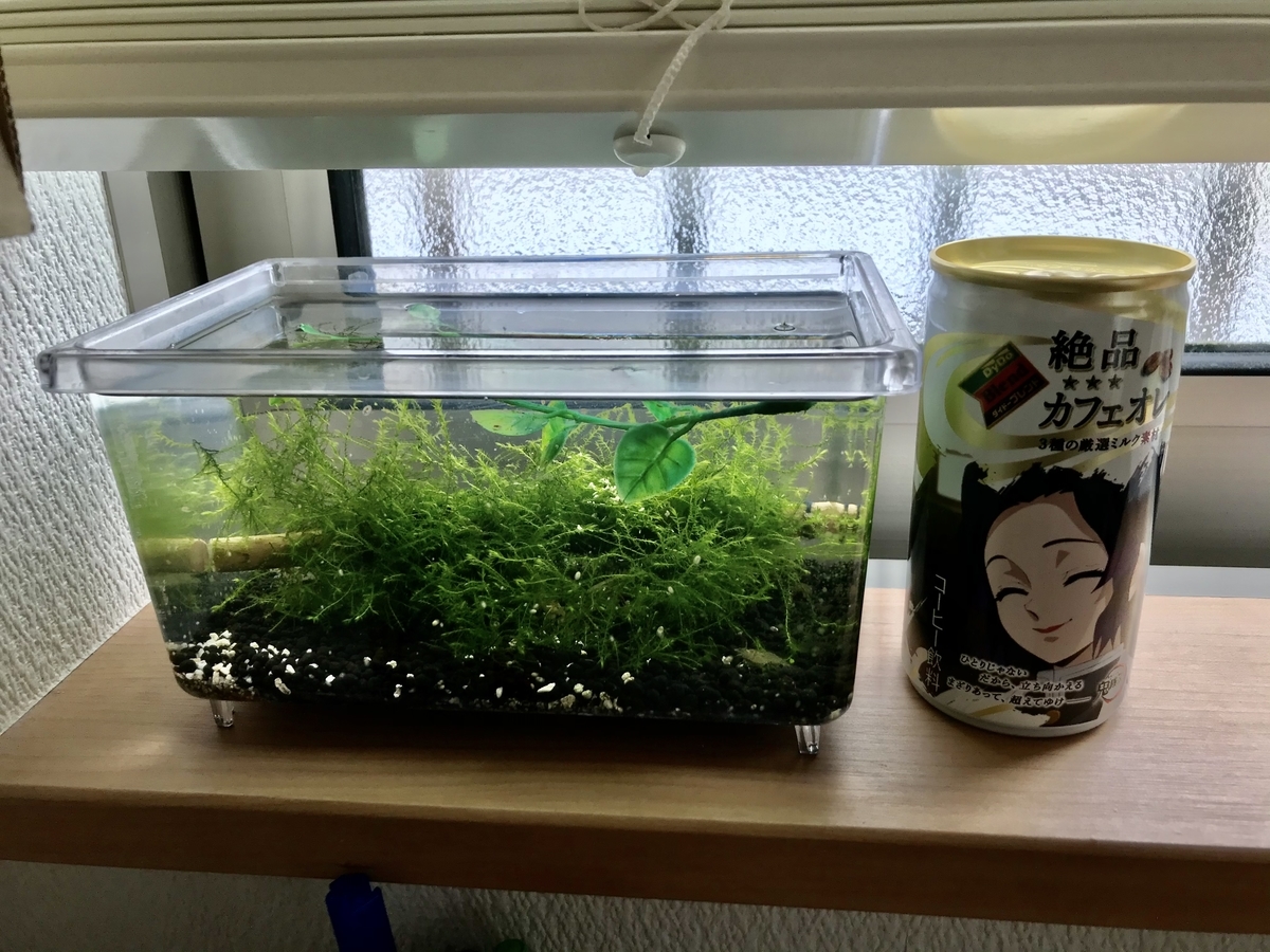 Siとdigitalの挟間で
