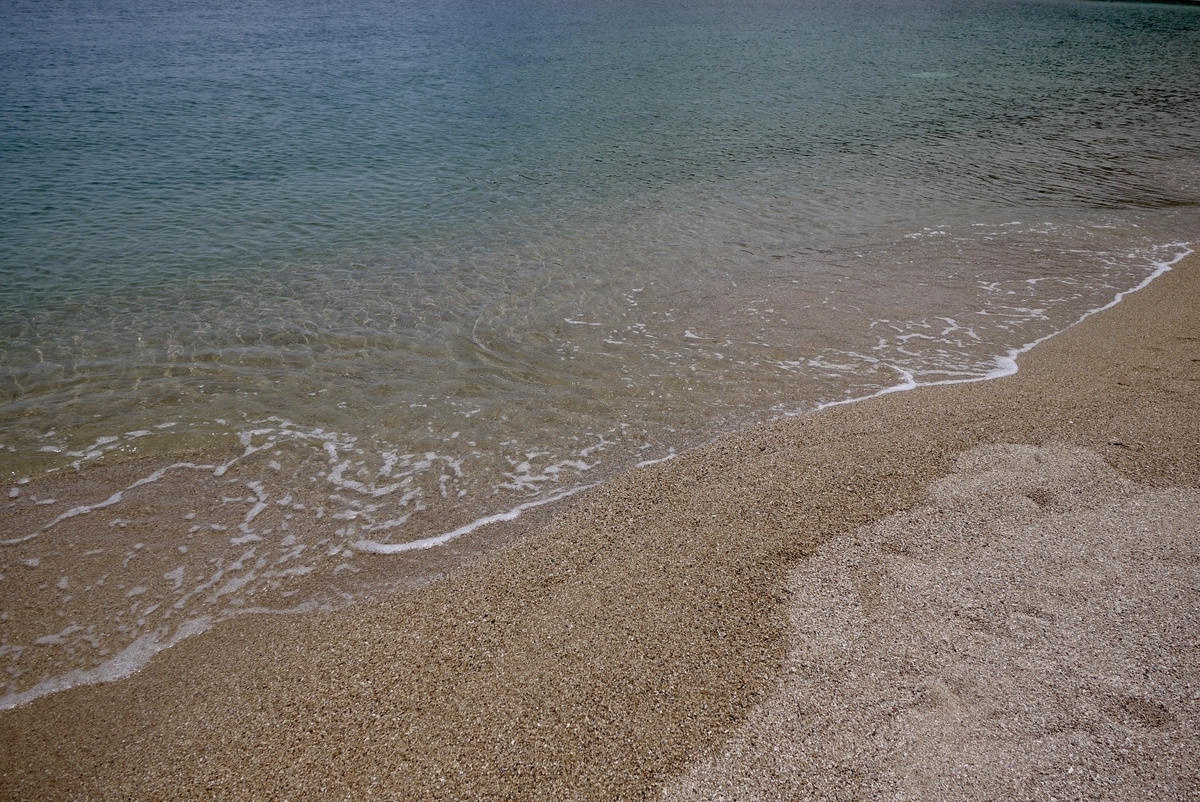 f:id:si-field:20200718173555j:plain f:id:si-field:20200718173555j:plain