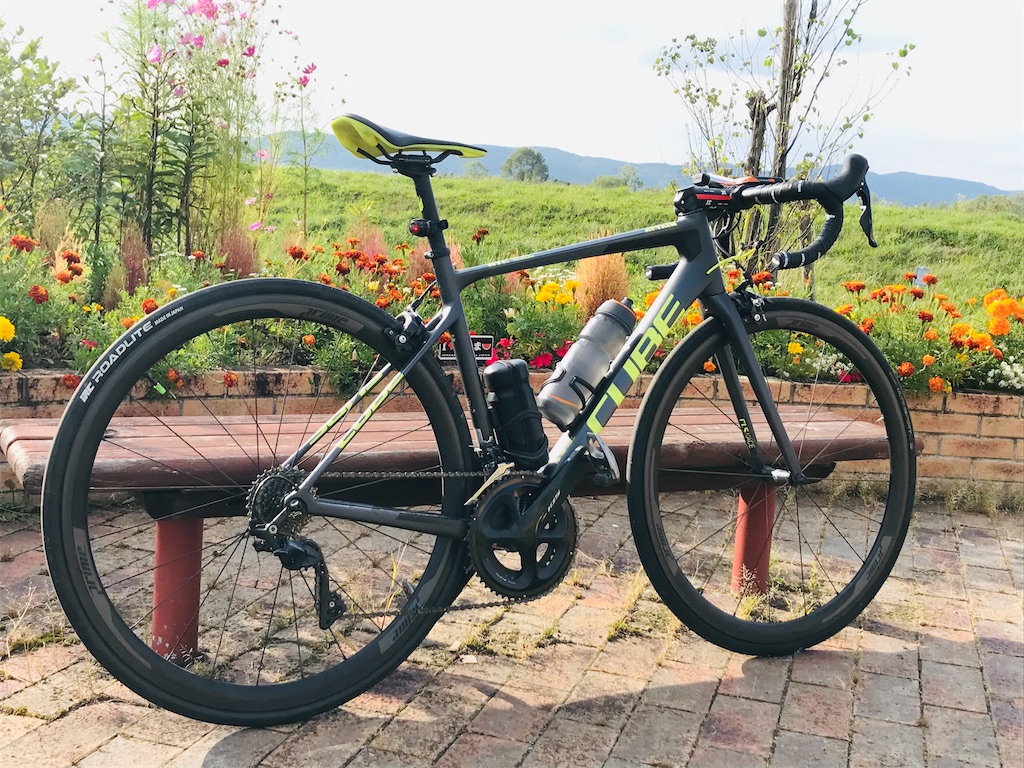prime rr 38 disc