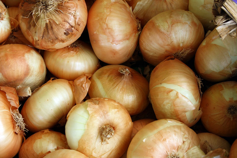 f:id:siamfood:20210916153231j:plain