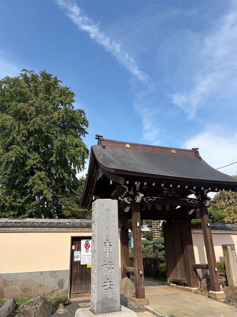 f:id:siawasegohan_2009:20260925193408j:image