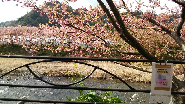 f:id:siawasenico:20170227213525j:plain f:id:siawasenico:20170227213525j:plain