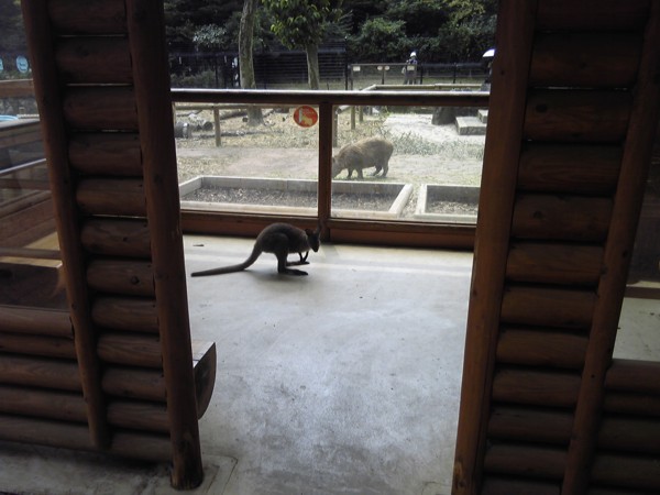 f:id:sib1977:20120729102818j:image